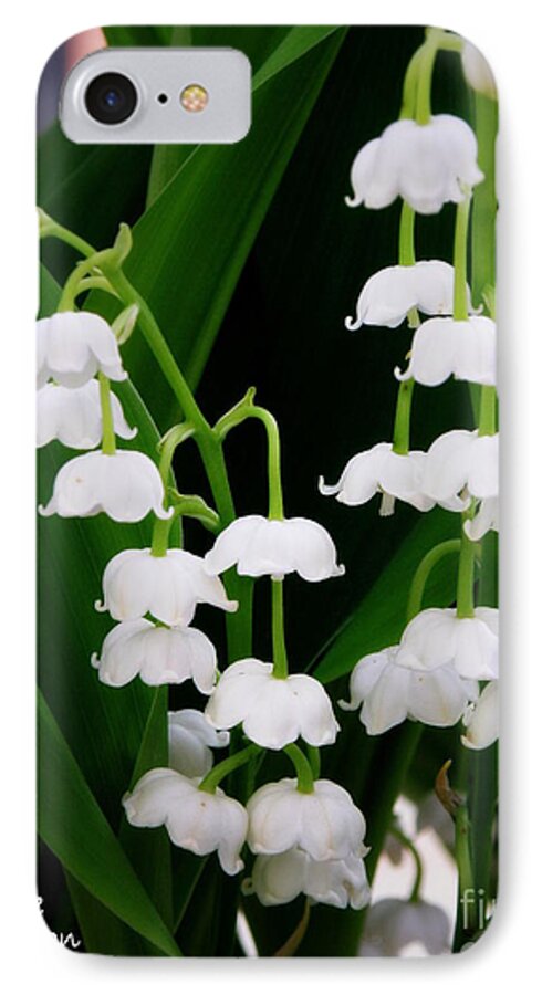 Lily Of The Valley iPhone 7 Case featuring the photograph Lily of the Valley by Lainie Wrightson