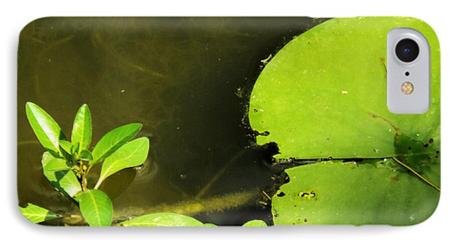 Lily Pad iPhone 7 Case featuring the photograph Lily Pad by Robyn King