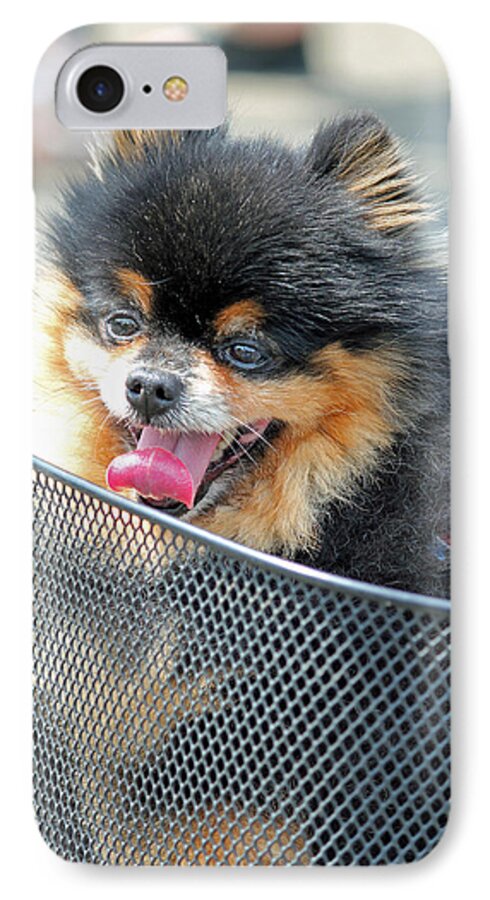 Dog In Basket iPhone 7 Case featuring the photograph Little Companion by E Faithe Lester