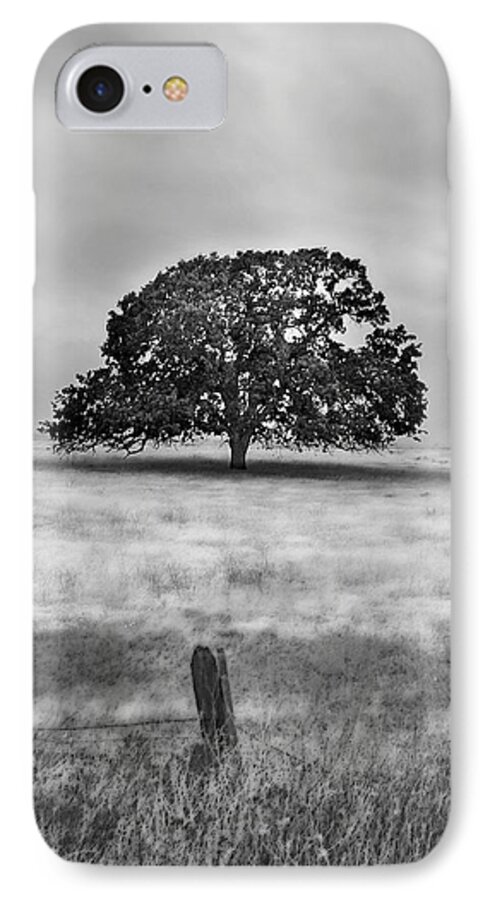Valley Oak iPhone 7 Case featuring the photograph Lone Valley Oak vertical by Abram House