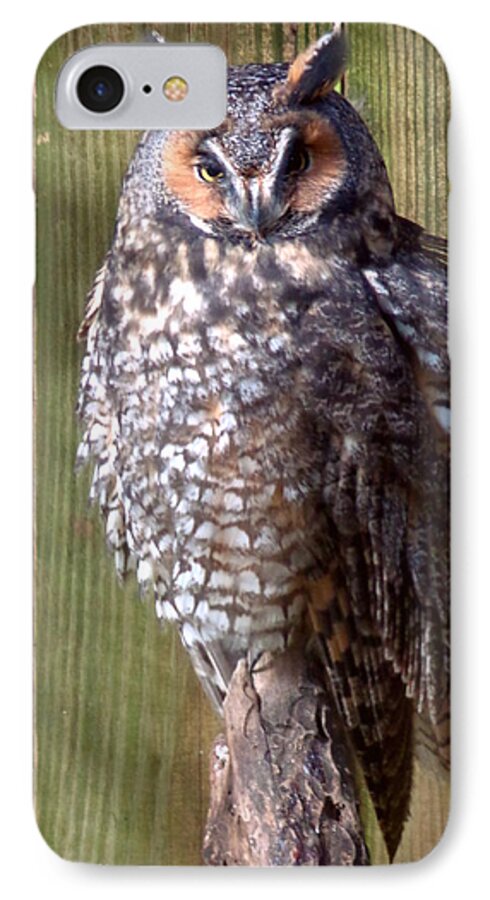 Skompski iPhone 7 Case featuring the photograph Long Eared Owl by Joseph Skompski