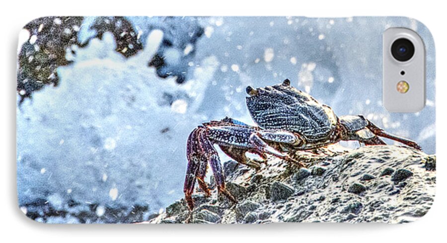 Crab iPhone 7 Case featuring the photograph Look At That Wave by Don Durfee