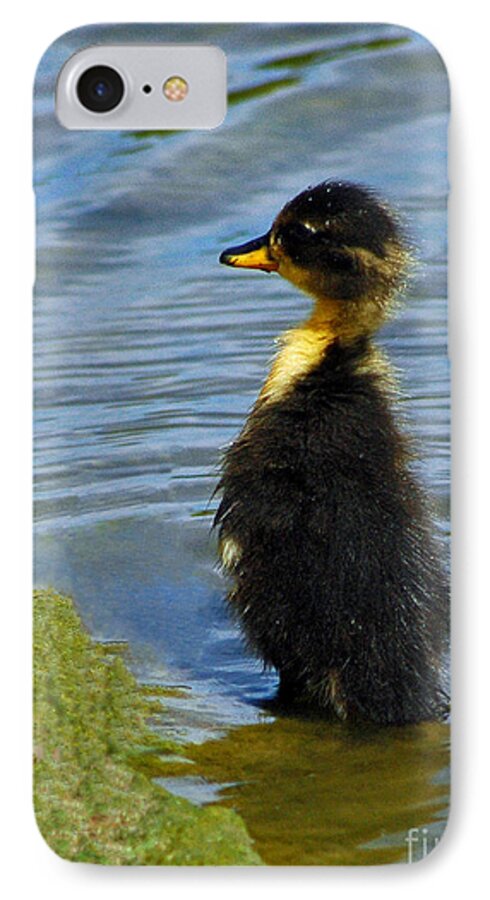 Nature iPhone 7 Case featuring the photograph Lost Duckling by Olivia Hardwicke