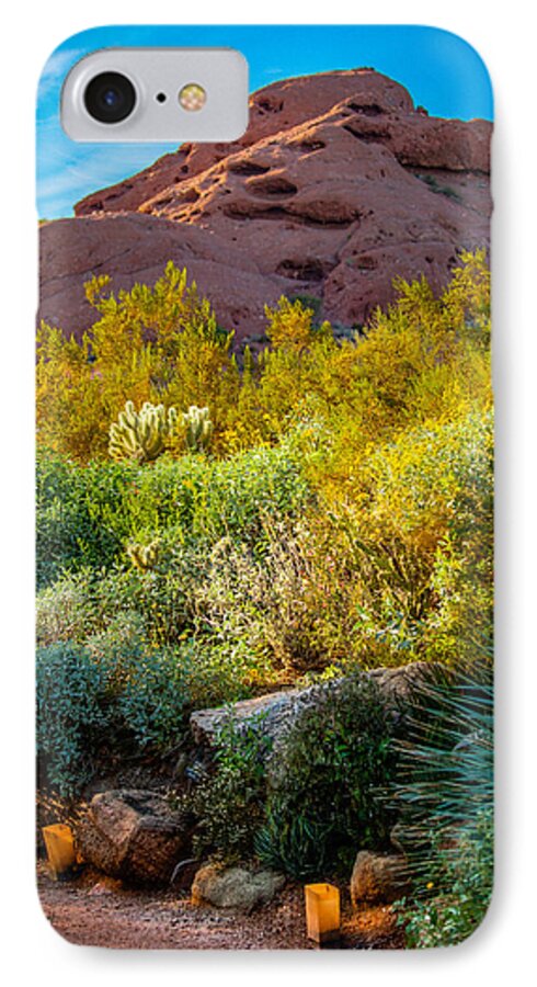 Hdr iPhone 7 Case featuring the photograph Luminarias in the Afternoon by Ross Henton