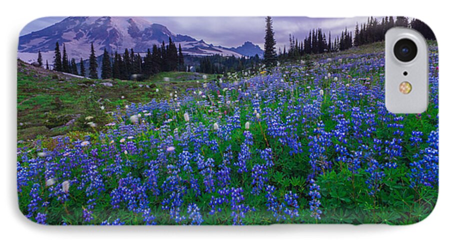 Mt. Rainier iPhone 7 Case featuring the photograph Lupines Dawn by Gene Garnace