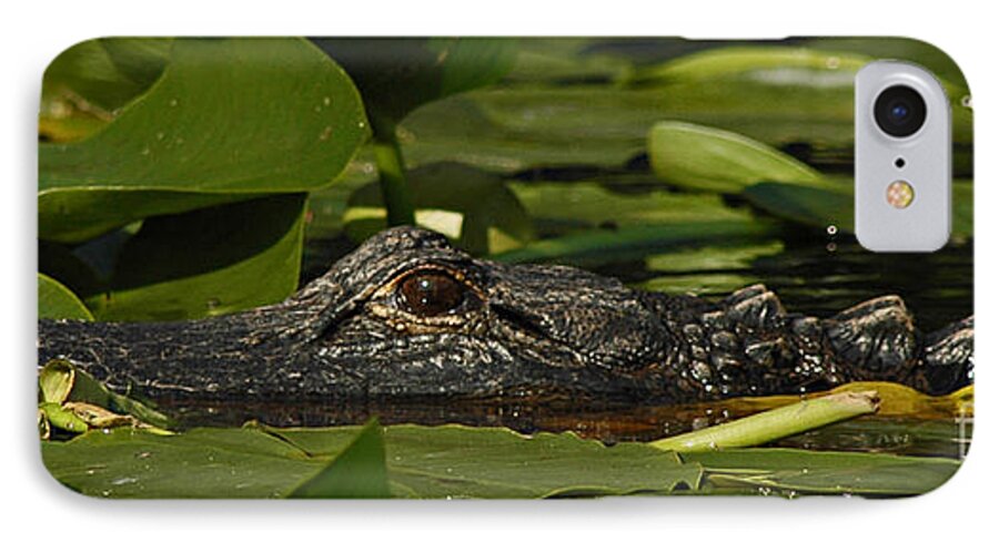 Alligator iPhone 7 Case featuring the photograph Lying in Wait by Vivian Christopher