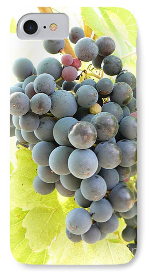 Grapes iPhone 7 Case featuring the photograph Almost Ready by France Art