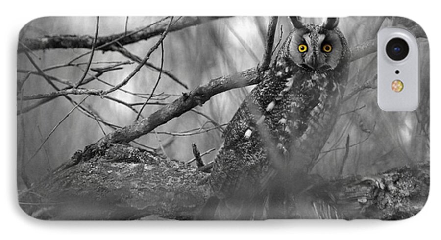 Melissa Peterson Nature Photography Long-eared Owl Long Eared Owls Woods Forest Swamp Swamps Spring Springtime Yellow Eyes Birds Animals Animal Predator Predators Black And White Dramatic Wildlife Wild B&w Sitting Portrait Raptor Raptors Feathers Up Close Ear Ears Creature Creatures Outdoors Outdoor Birding Birder Hunter Nocturnal Bird Of Prey Photo Carnivore Perching Watching Natural Habitat Brush Cyrus Minnesota West Central Amazing North America Typical Erect Tufts Migratory Thickets Thicket iPhone 7 Case featuring the photograph Mesmerizing Eyes by James Peterson