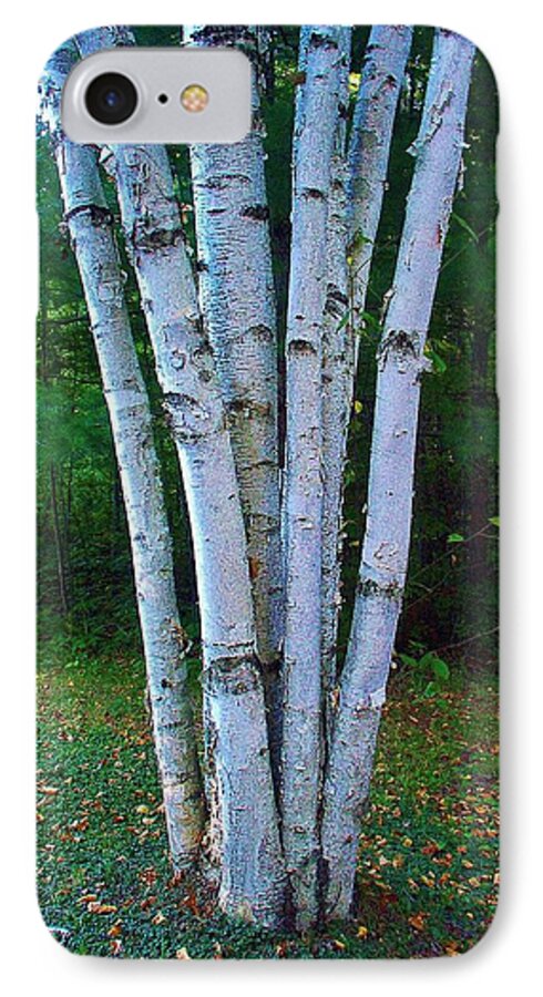 Birch Trees iPhone 7 Case featuring the photograph Micro-grove by Daniel Thompson