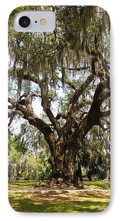 Mighty Oak iPhone 7 Case featuring the photograph Mighty Oak by Beth Vincent