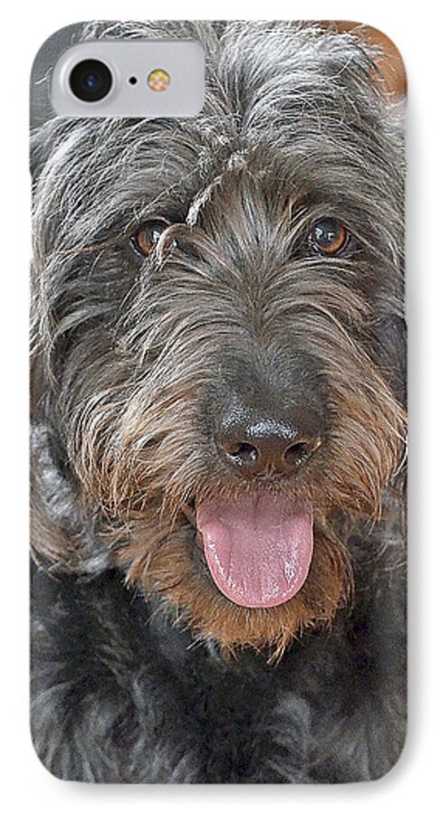 Animals iPhone 7 Case featuring the photograph Milo by Lisa Phillips