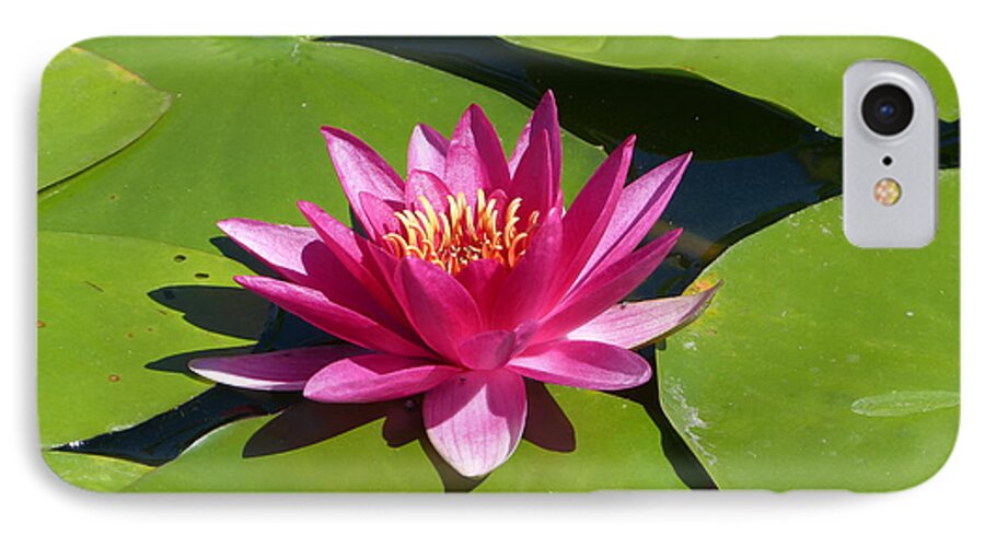 Flower iPhone 7 Case featuring the photograph Monet's Waterlily by Marguerita Tan