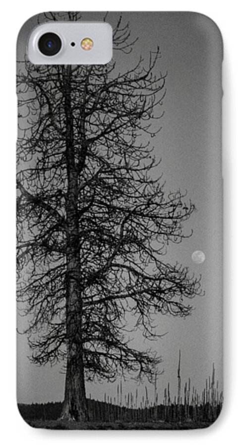 2014 iPhone 7 Case featuring the photograph Moon Tree by Jan Davies