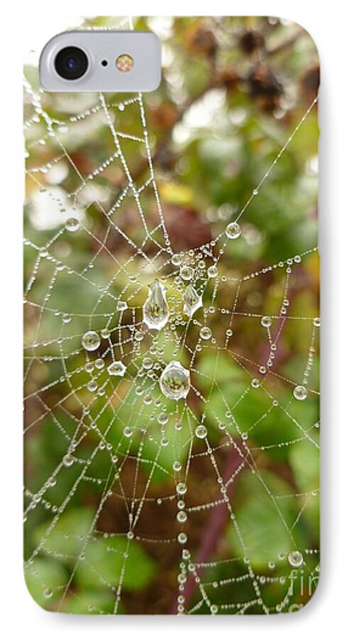 Morning iPhone 7 Case featuring the photograph Morning Dew by Vicki Spindler