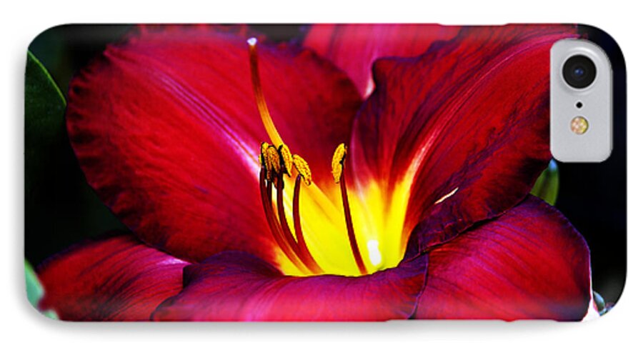 Geranium iPhone 7 Case featuring the photograph Morning Heat by Edward Hawkins II