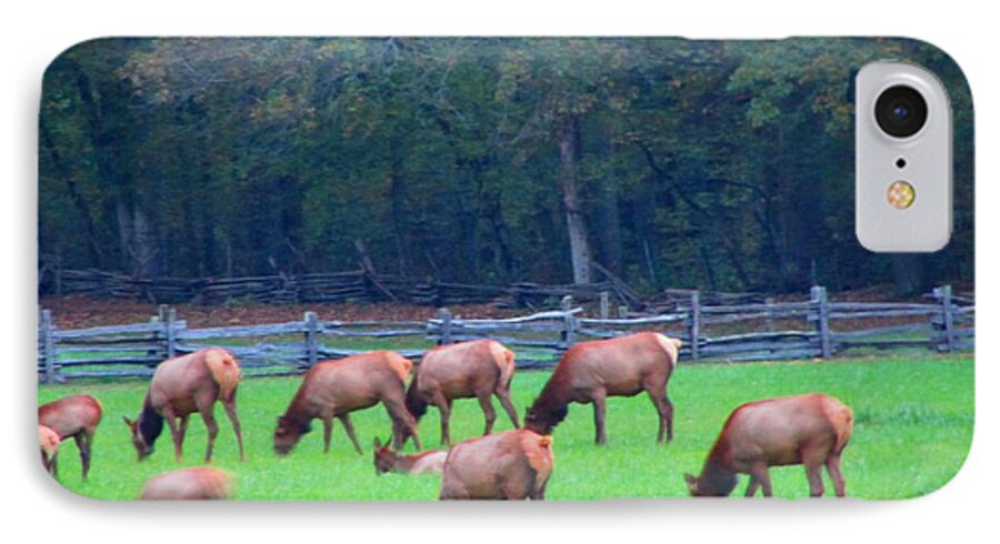 Kathy Long iPhone 7 Case featuring the photograph Mountain Farm Elk by Kathy Long