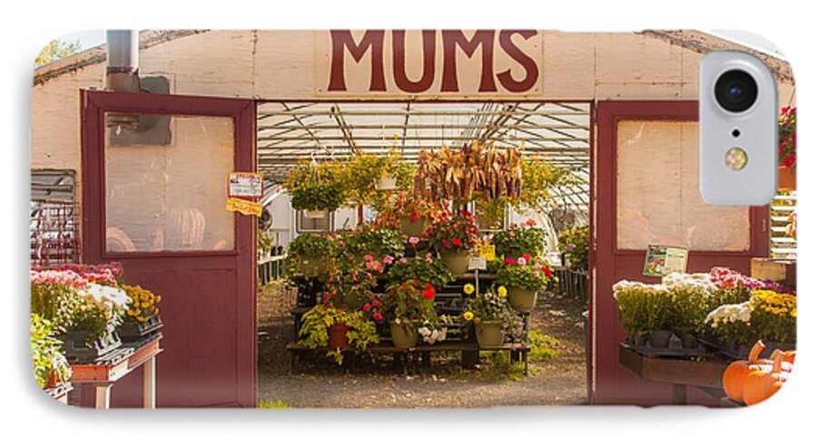 Farm iPhone 7 Case featuring the photograph Mums by Kathleen McGinley