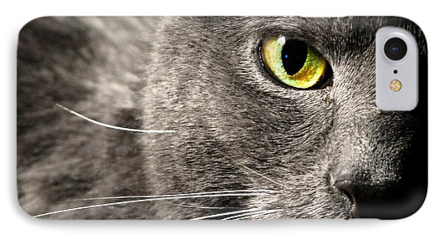 Cat iPhone 7 Case featuring the photograph My Eye's On You by Diana Angstadt