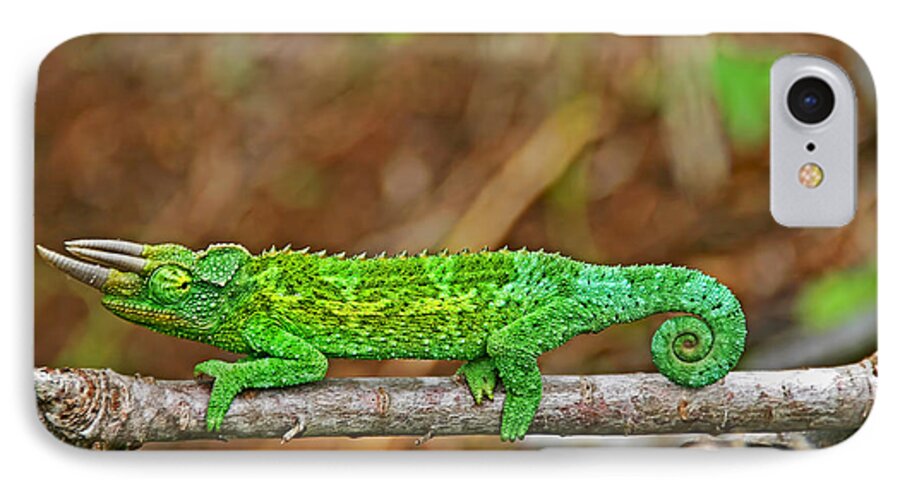 Chameleon iPhone 7 Case featuring the photograph My Magical Tail by Peggy Collins