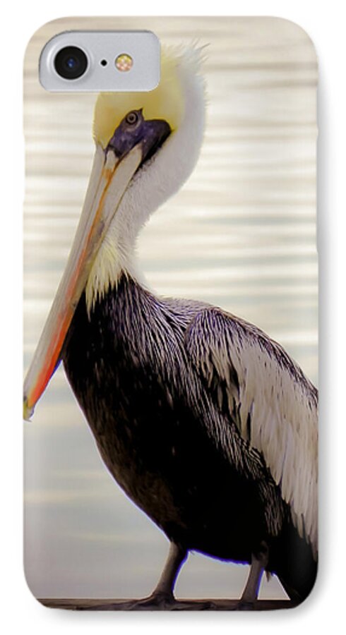 Bird iPhone 7 Case featuring the photograph My Visitor by Karen Wiles