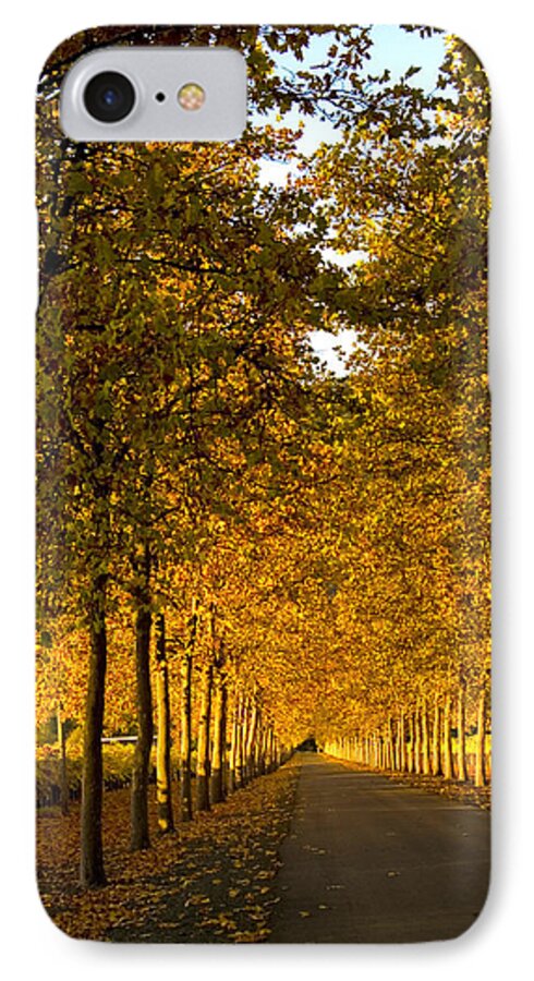 Napa Valley iPhone 7 Case featuring the photograph Napa Valley Fall by Bill Gallagher