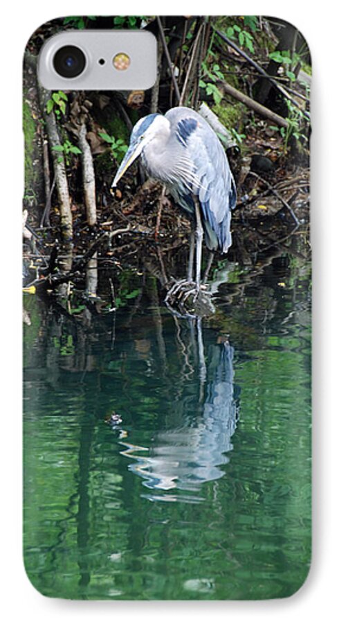 Animals iPhone 7 Case featuring the photograph Narcissist by John Schneider