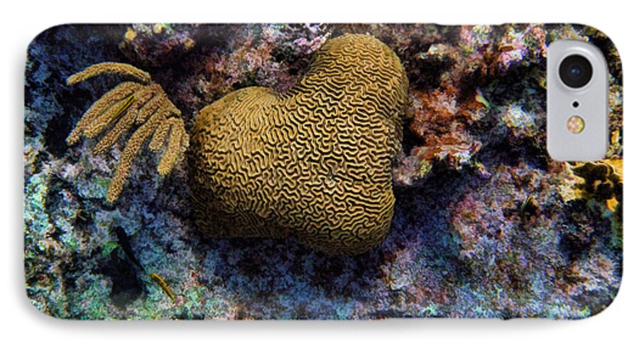 Coral iPhone 7 Case featuring the photograph Natural Heart by Peggy Hughes