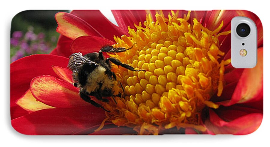 Macro iPhone 7 Case featuring the photograph Nectar Of The Gods by Lora Fisher