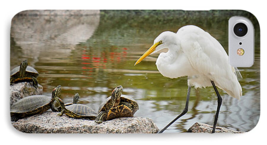 Egret iPhone 7 Case featuring the photograph New Found Friends by TK Goforth
