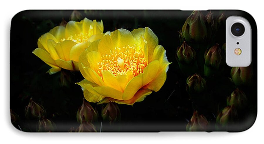 Cactus iPhone 7 Case featuring the photograph Nightlights by Len Romanick