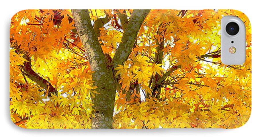 Fall iPhone 7 Case featuring the photograph Novemberness by Derek Dean