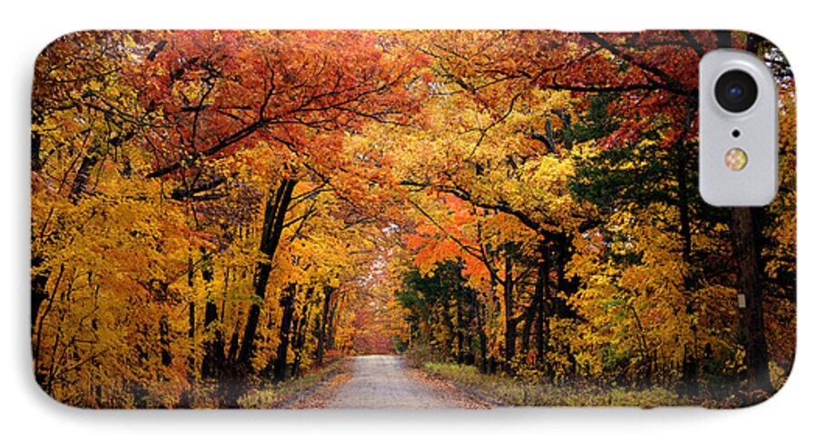 Fall Foliage iPhone 7 Case featuring the photograph October Road by Cricket Hackmann