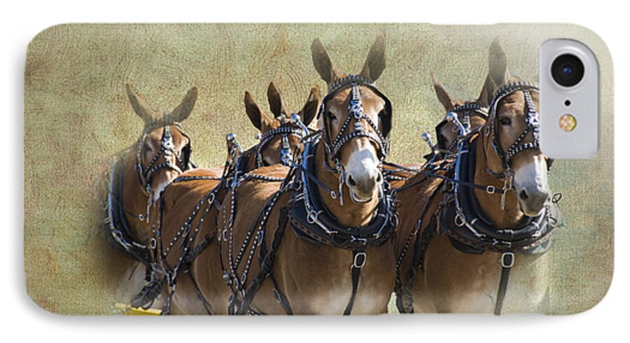 Mules iPhone 7 Case featuring the photograph Old West Mule Train by Betty LaRue