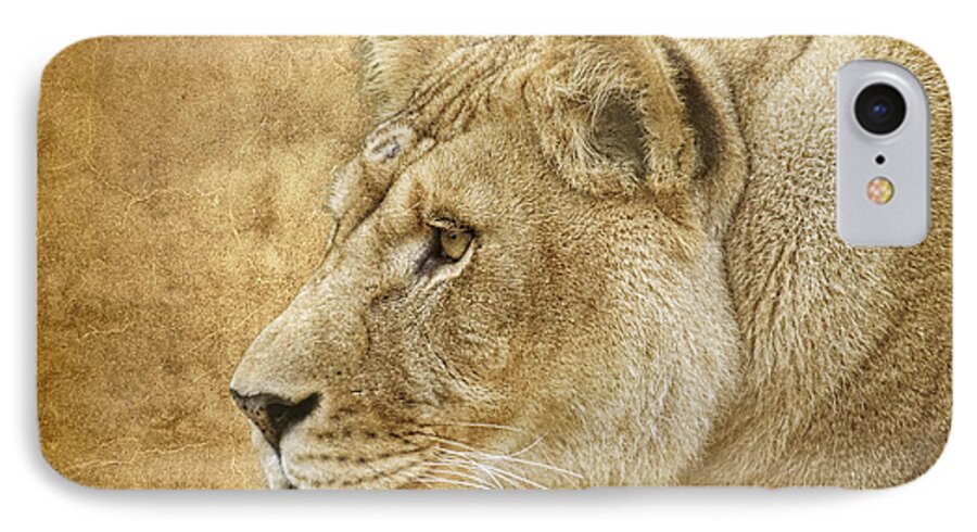 Lion iPhone 7 Case featuring the photograph On Target by Steve McKinzie