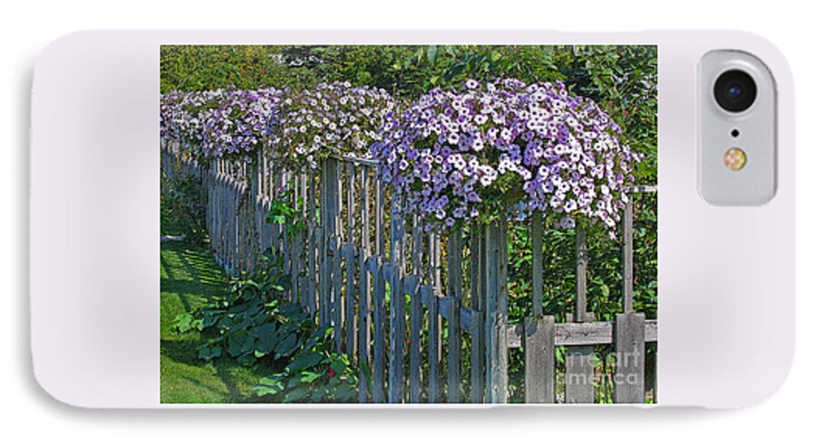 Petunia iPhone 7 Case featuring the photograph On the Fence by Ann Horn
