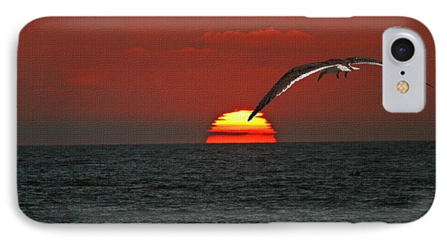 Black Skimmers iPhone 7 Case featuring the photograph One Black Skimmers At Sunset by Tom Janca