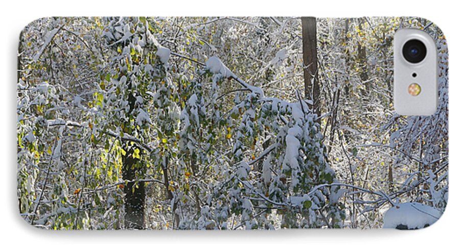 Landscape iPhone 7 Case featuring the photograph Onset Of Winter 2 by Rudi Prott
