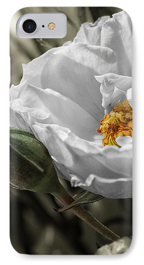  iPhone 7 Case featuring the photograph Open Your Heart by Maria Robinson