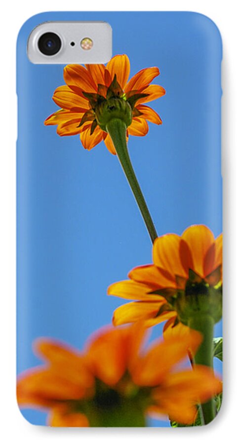 Orange Flowers iPhone 7 Case featuring the photograph Orange flowers on blue sky by Debbie Karnes