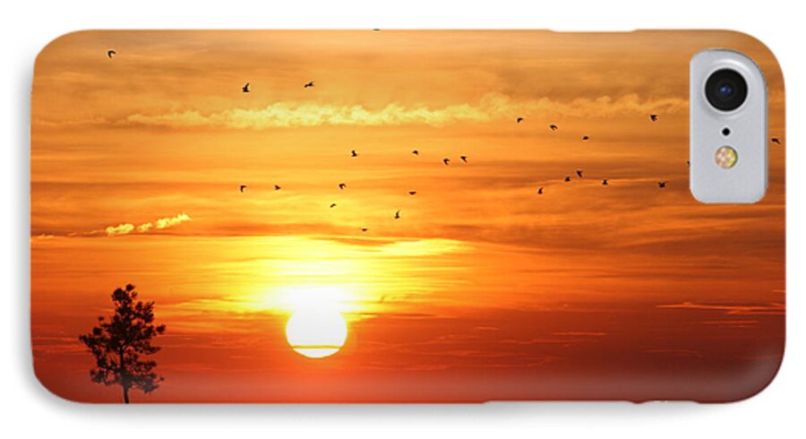Orleans iPhone 7 Case featuring the photograph Orleans sunset by Jim Gillen