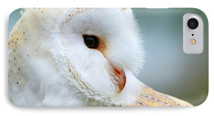 Owls iPhone 7 Case featuring the photograph Over her shoulder by Heather King