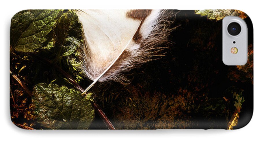 Lee Craig iPhone 7 Case featuring the photograph Owl Feather on Natures Canvas in Square by Lee Craig