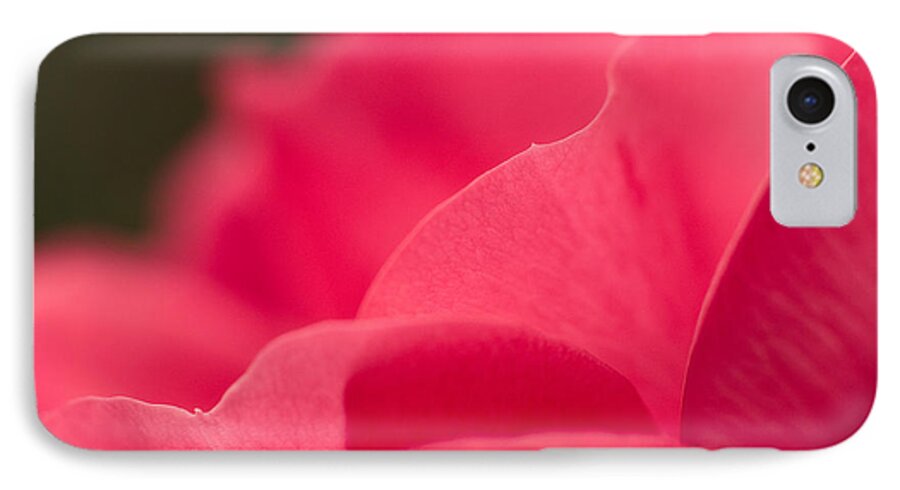 Rose iPhone 7 Case featuring the photograph P is for Pink by Craig Szymanski