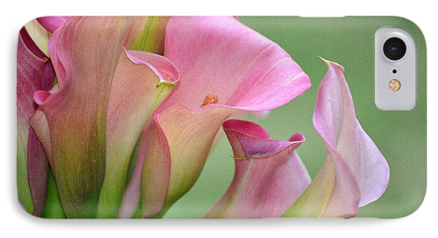 Calla Lilies iPhone 7 Case featuring the photograph Pale Pink Blush by Fraida Gutovich