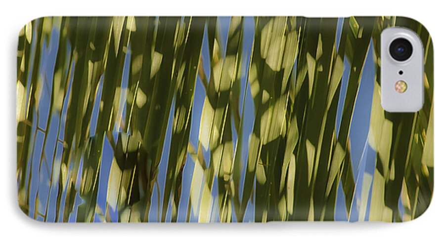 Palm Tree iPhone 7 Case featuring the photograph Palm Tree Abstract by Sherri Meyer