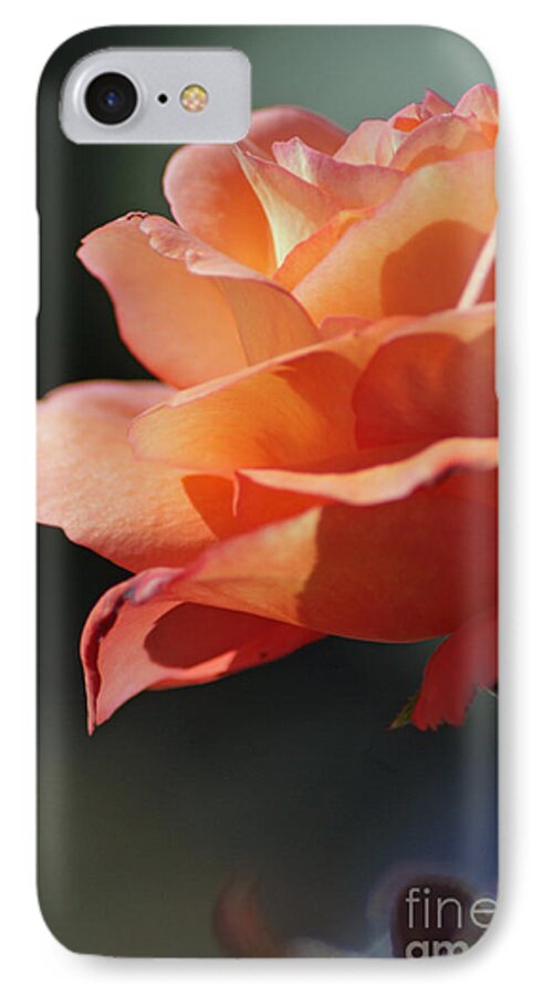 Floral iPhone 7 Case featuring the photograph Partial Rose by Chris Anderson