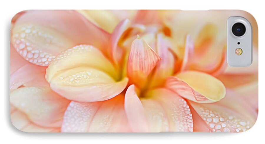 Dahlia iPhone 7 Case featuring the photograph Pastel Petals and Drops by Julie Palencia