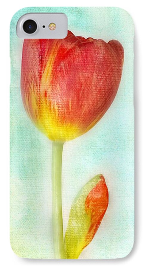Single Stem Tulip iPhone 7 Case featuring the photograph Pastel Tulip by Melissa Bittinger