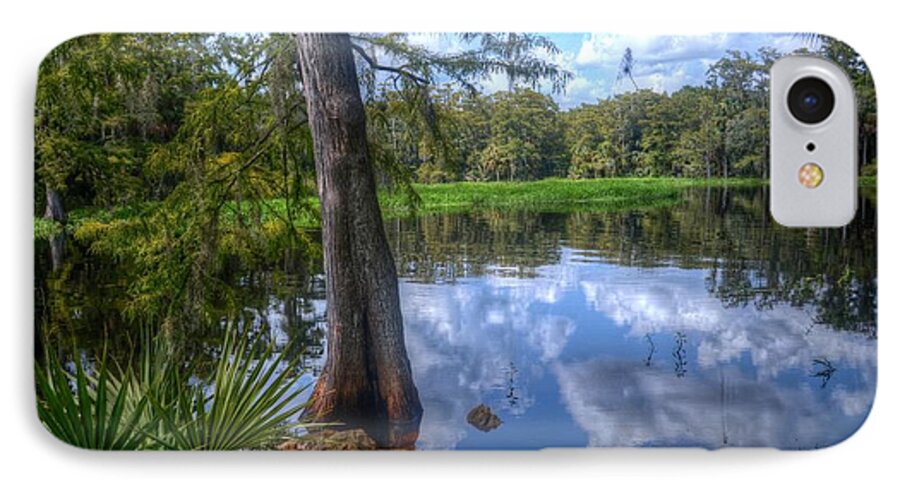 Florida iPhone 7 Case featuring the photograph Peaceful Florida by Timothy Lowry