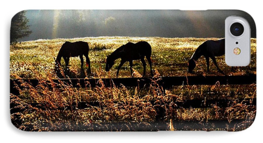 Horse iPhone 7 Case featuring the photograph Peaceful pasture by Carlee Ojeda
